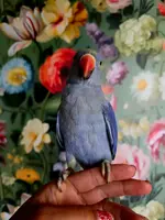 20251019_092116.webp