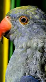 20251025_105823.webp
