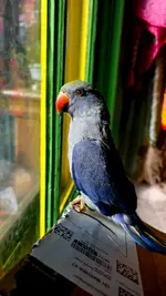20251025_105752.webp