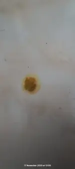 WhatsApp Image 2025-11-17 at 13.11.01 (1).webp