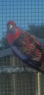 Screenshot_20251124_182140_Samsung Internet.webp