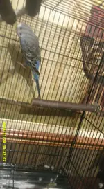 Screenshot 2025-11-29 6.47.28 PM.webp