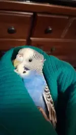 Screenshot 2025-11-27 12.02.52 PM.webp