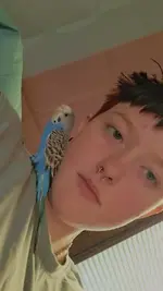 Screenshot 2025-11-25 5.34.58 PM.webp