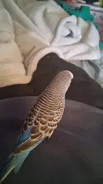 Screenshot 2025-11-29 7.15.50 PM.webp