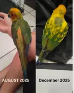 Aesthetic Fashion Photography Brand Photo Collage Instagram Post_20251231_085931_0000.webp