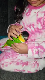 WhatsApp Image 2026-01-12 at 10.05.16 AM.webp