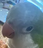 WhatsApp Image 2026-01-14 at 21.48.41.webp