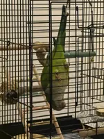 WhatsApp Image 2026-01-14 at 21.48.40.webp