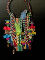 20260111_211108 1.webp