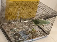 IMG_20260404_215714.webp