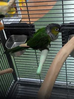 1000021870.webp