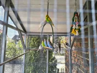 1000061524_gm_optimized.webp