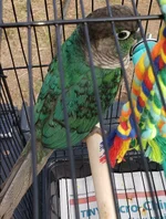20260115_203159.webp