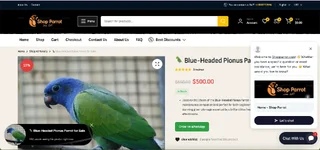 Screenshot 2026-04-17 at 8.12.02 PM.webp