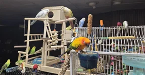 Media (13) (1).webp