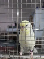 微信图片_20260615193055_239_163.webp