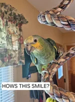 20260531_163649.webp