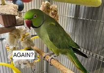 20260531_104702.webp