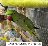 20260531_104729.webp