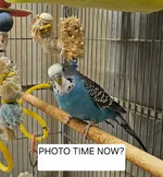 20260531_113538.webp