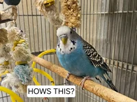 20260531_113547.webp