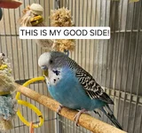 20260531_113549.webp