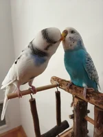 IMG_20260628_083608.webp