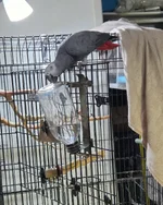 20260705_171738.webp