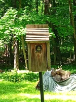 IMG_20260617_121007845.webp