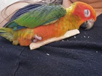 IMG-20260701-WA0005.webp