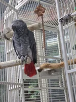20260723_090846.webp