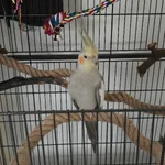 20260815_172116.webp