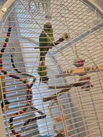 20260816_094329.webp