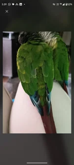 Screenshot_20260819-174000.Google.webp