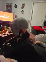 20260819_191034.webp