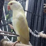20260816_075811.webp