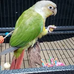 20260820_172939.webp