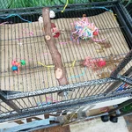 20260823_083334.webp