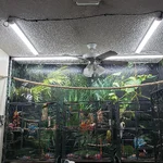 20260823_080454.webp