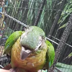 20260824_111959.webp