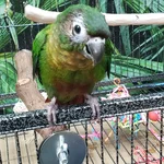 20260823_080020.webp
