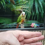 20260823_072241.webp
