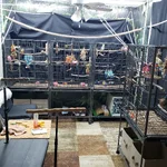 20260806_113740.webp