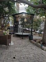 image-1788192247651.webp