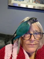 PXL_20260907_103249793.webp