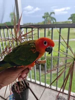 IMG20260801182412.webp
