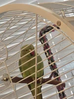 20260910_100330.webp