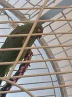 20260910_100704.webp