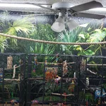 20260823_080534.webp